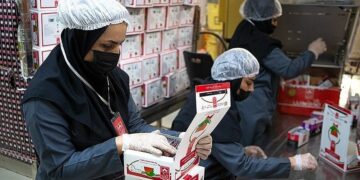 فسادی که در ایران سابقه نداشته! جزئیات تازه از یک فساد بزرگ و «دبش»